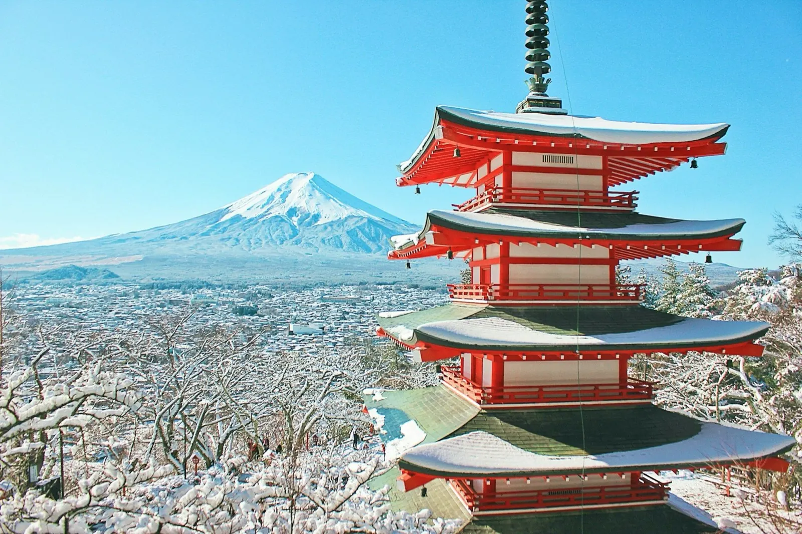 Winter (Dec–Feb): Enjoy Snow Sports and Seasonal Activities